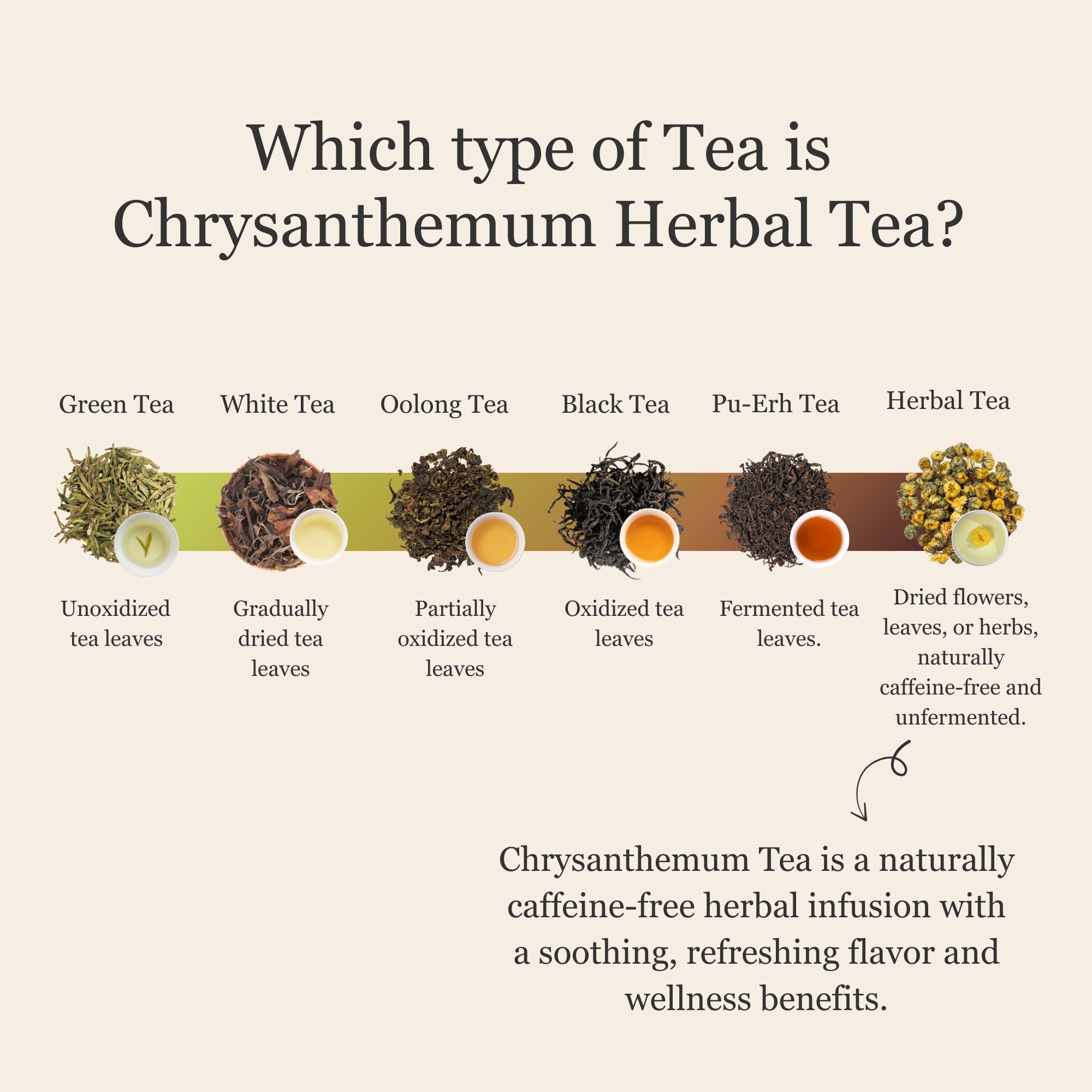 Chrysanthemum Herbal Tea – 80 g (2.8 oz)