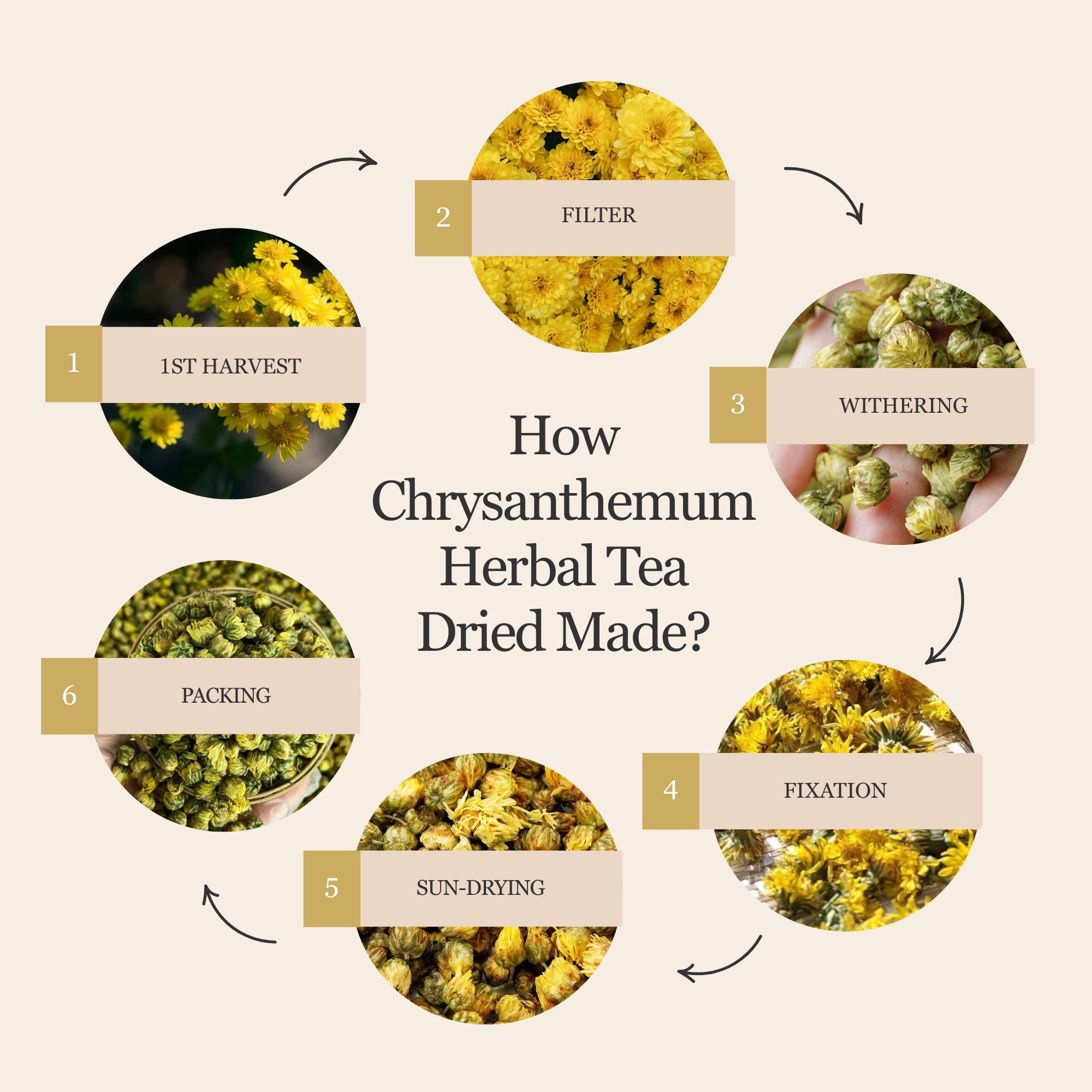 Chrysanthemum Herbal Tea – 80 g (2.8 oz)