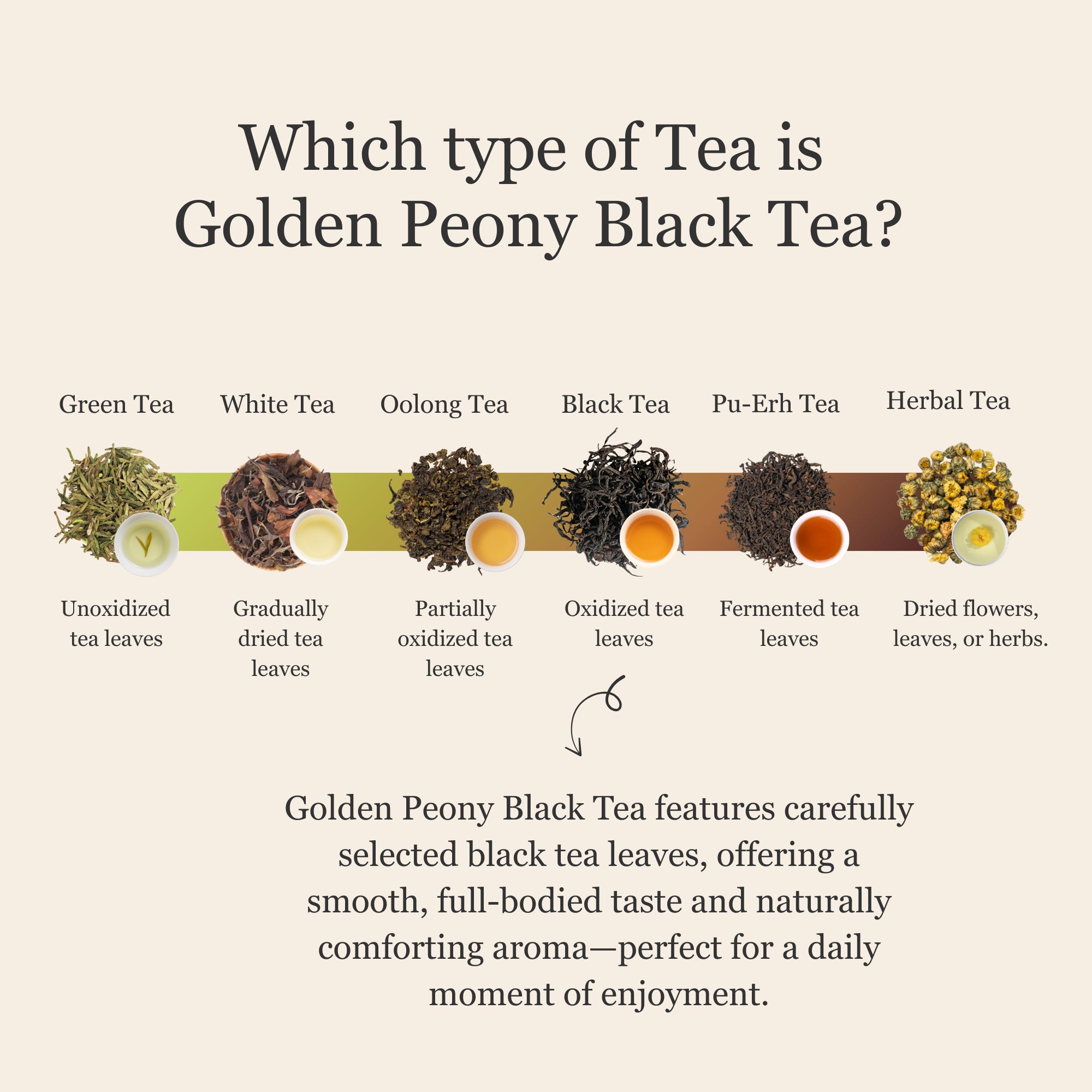 Golden Peony Black Tea – 50 g (1.8 oz)