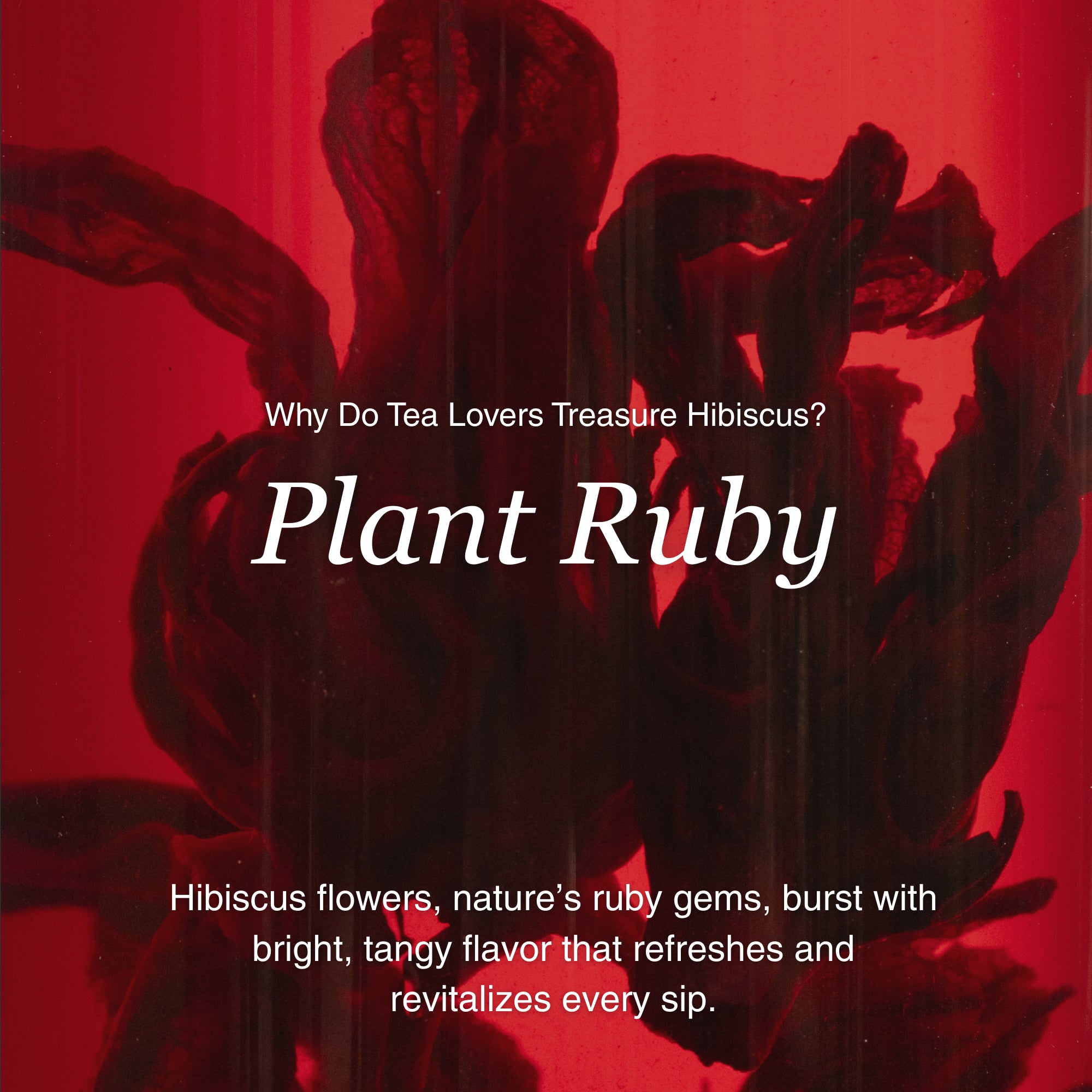Hibiscus Herbal Tea – 80 g (2.8 oz)