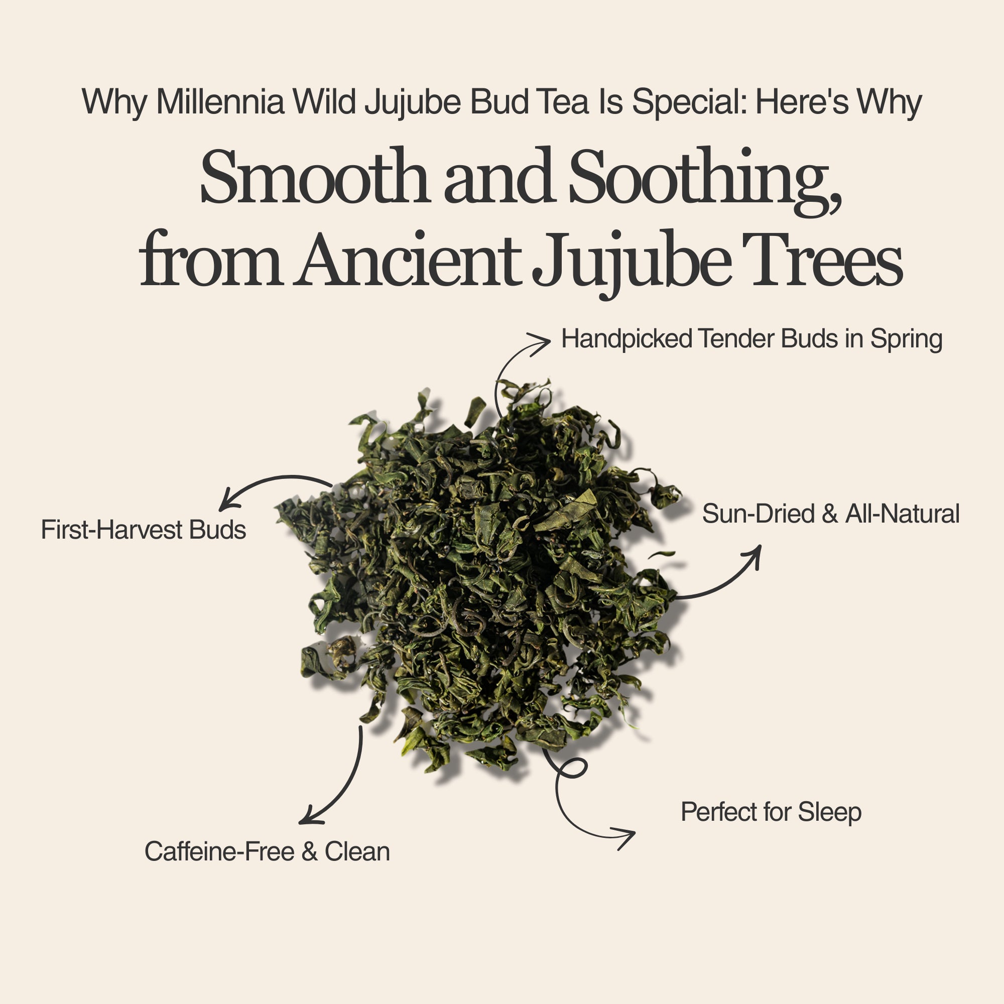 Millennia Wild Jujube Bud Herbal Tea – 50 g (1.8 oz)