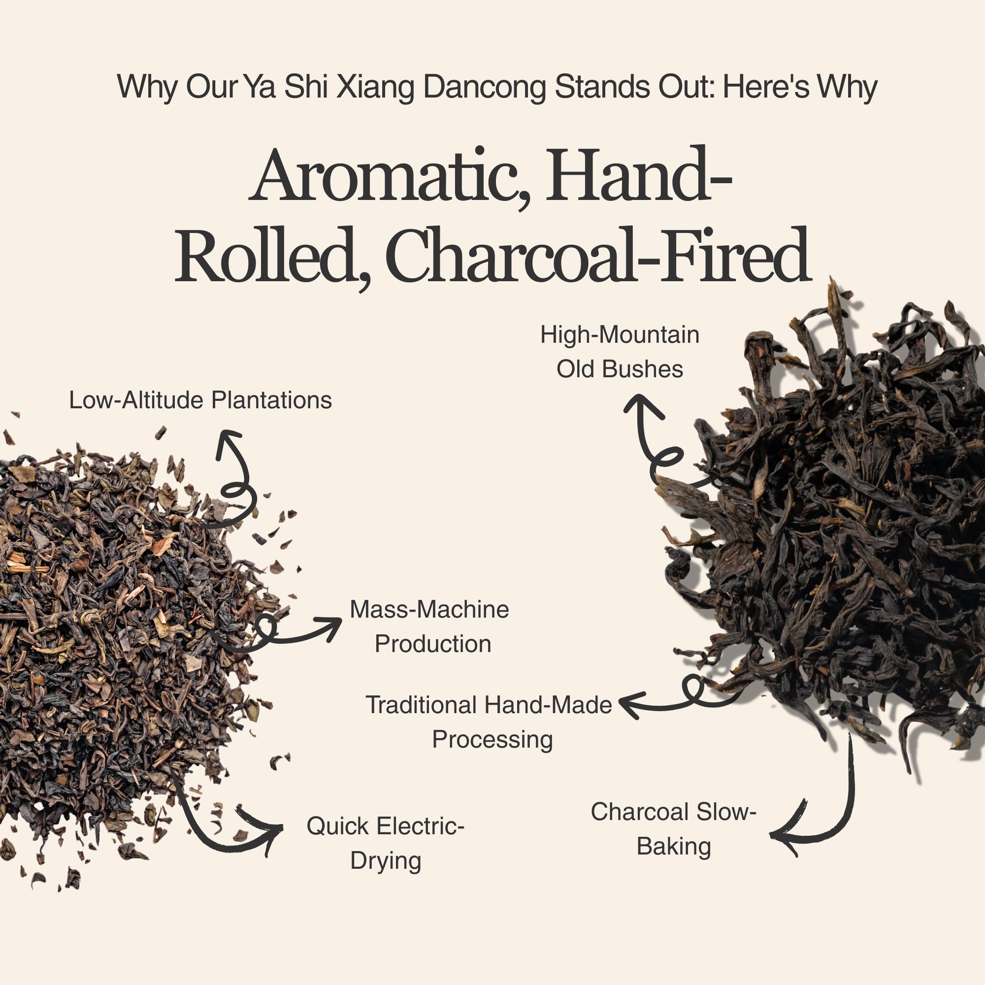 Phoenix Oolong (Ya Shi Xiang) Dan Cong