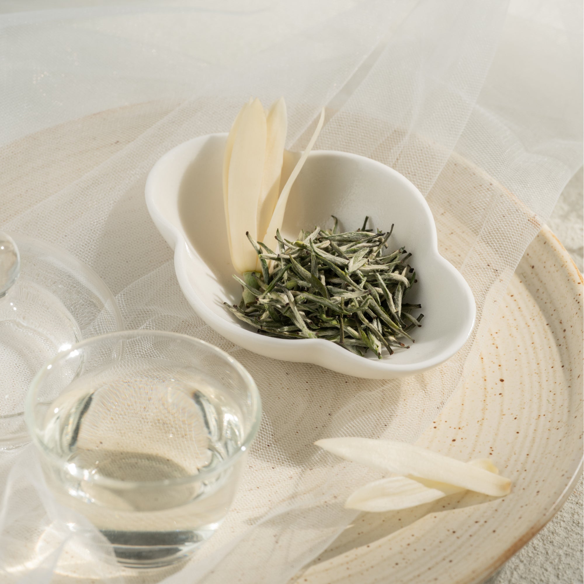 Orchid Frost Yellow Tea