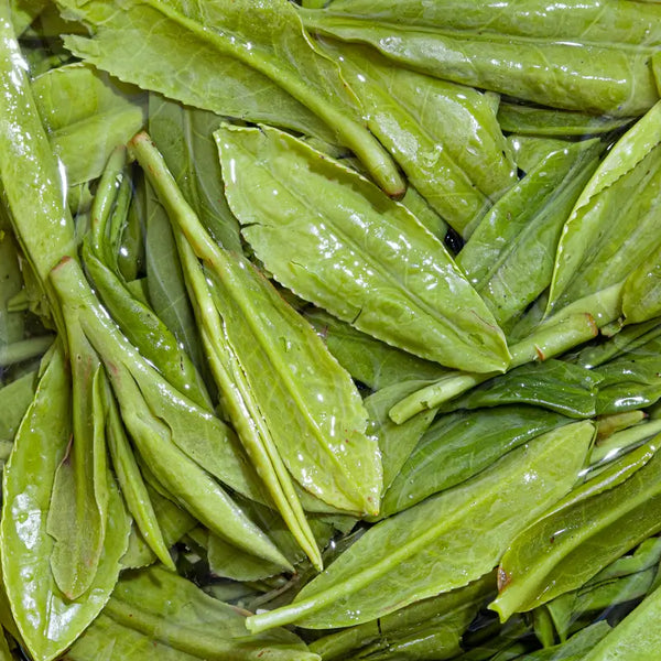 NEWS | 2025 Global Tea Championships Winner