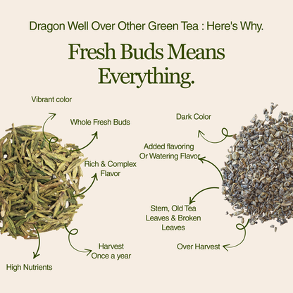 Imperial Dragon Well – Championship Tea Winner