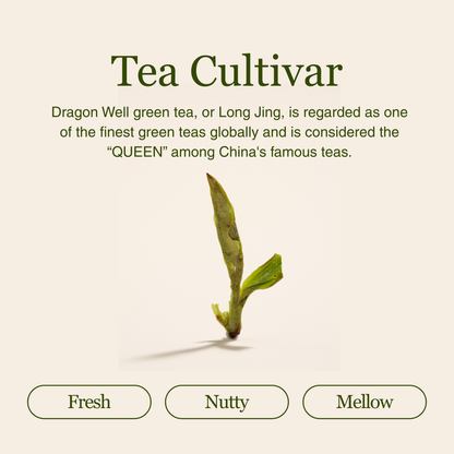 Imperial Dragon Well – Championship Tea Winner