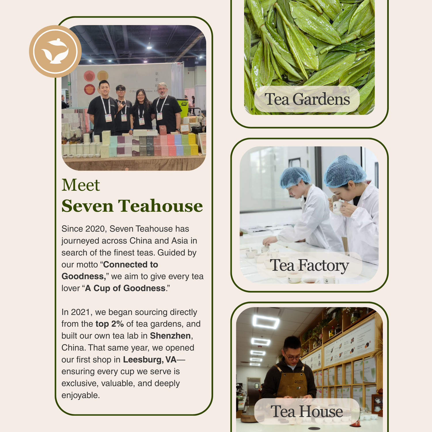 Imperial Dragon Well – Championship Tea Winner