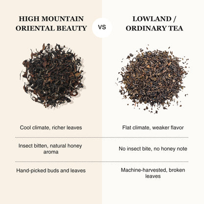 Oriental Beauty Oolong Tea