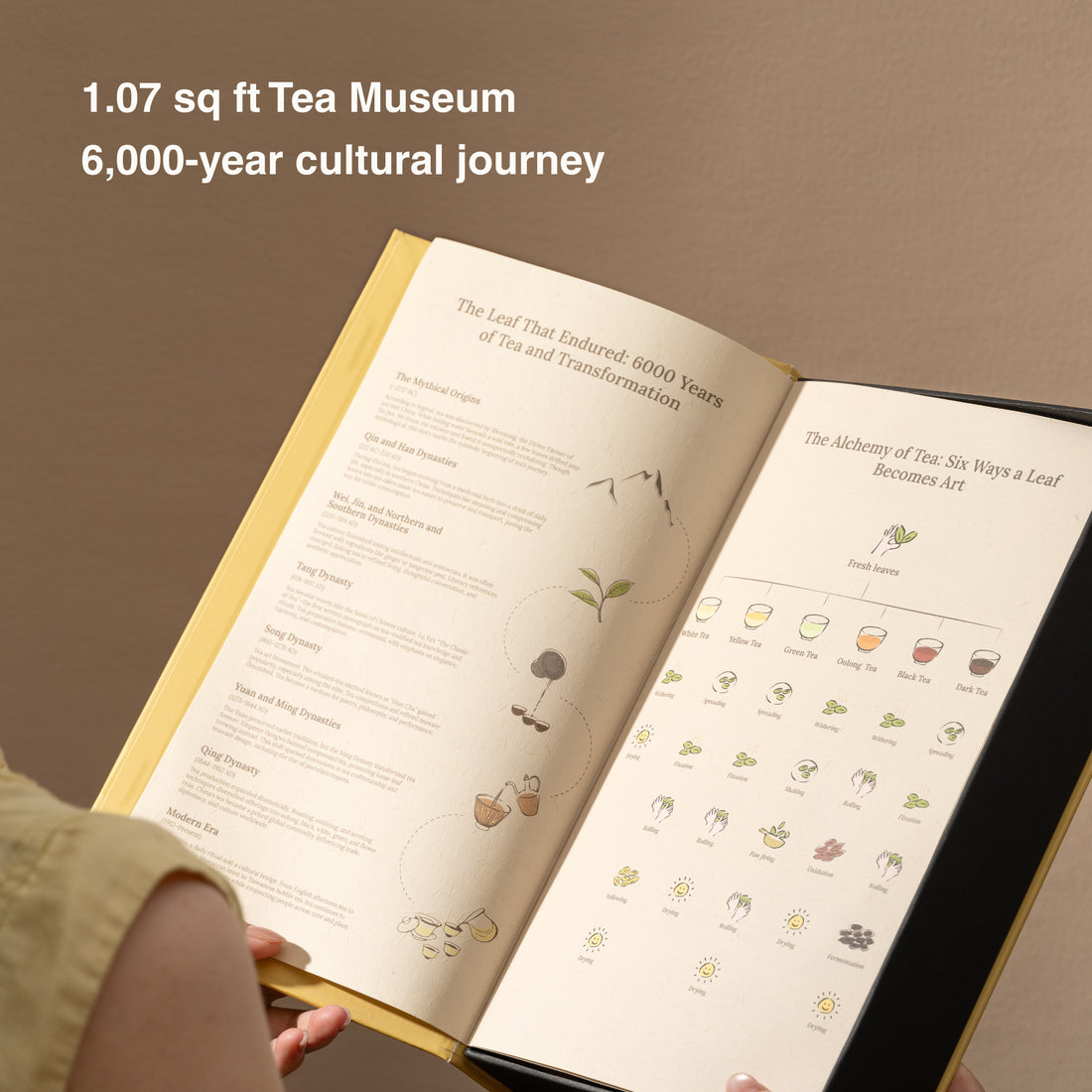 Living History Tea Gift Set | 1.07 sqft. Tea Museum