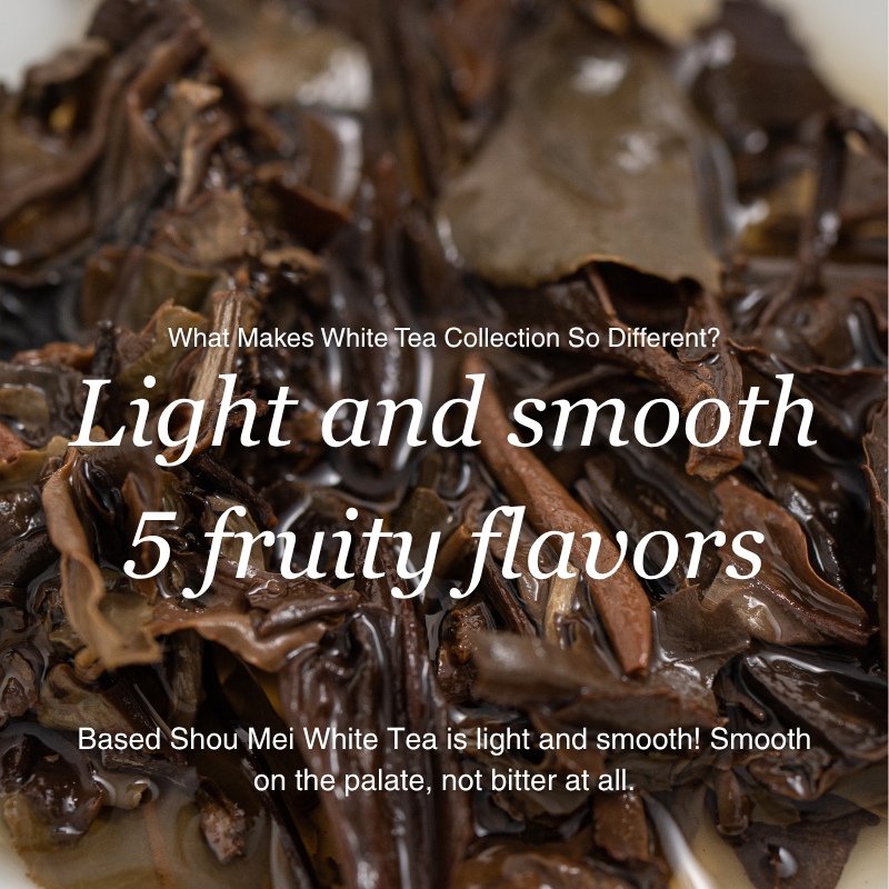 White Tea Collection | 5 Fruit – Infused Flavors