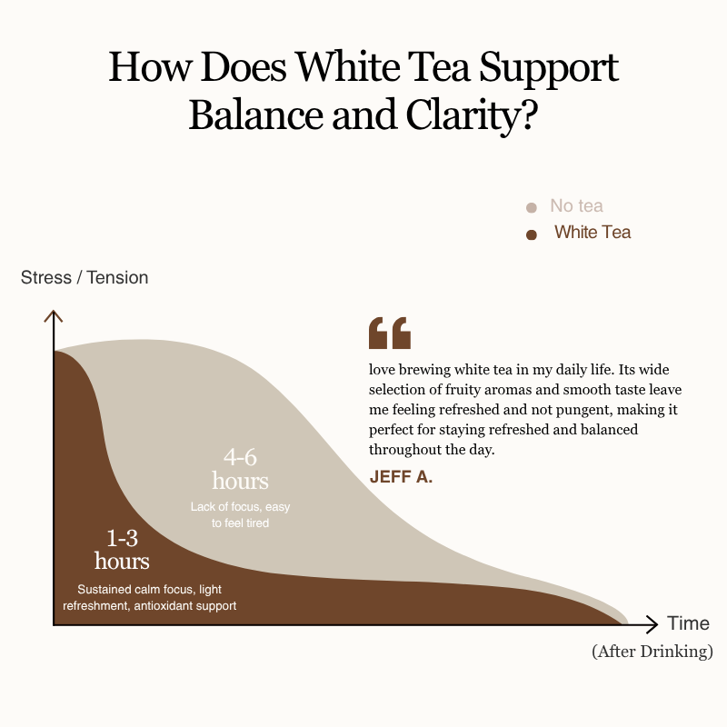 White Tea Collection | 5 Fruit – Infused Flavors