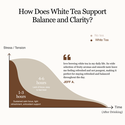 White Tea Collection | 5 Fruit – Infused Flavors