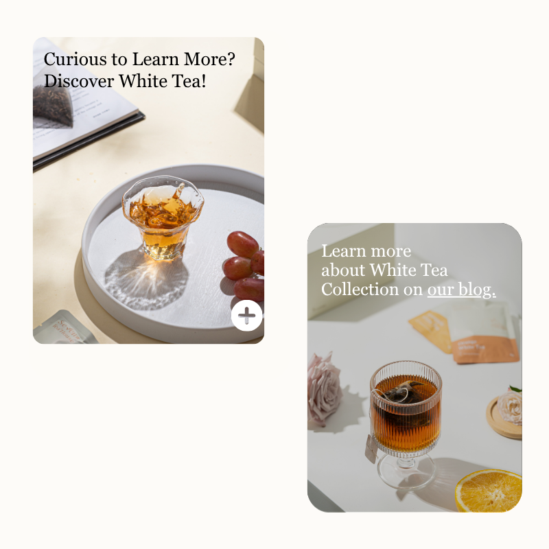 White Tea Collection | 5 Fruit – Infused Flavors