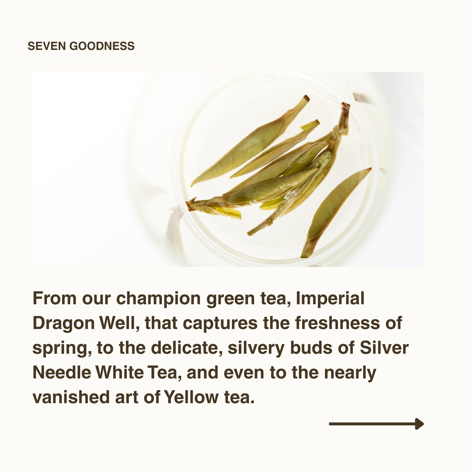 Living History Tea Gift Set | 1.07 sqft. Tea Museum