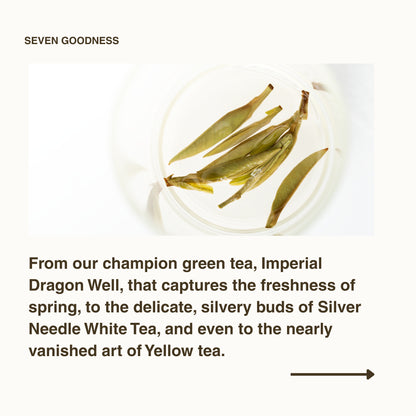 Living History Tea Gift Set | 1.07 sqft. Tea Museum