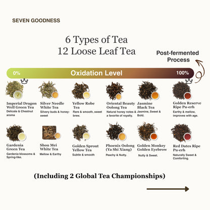 Living History Tea Gift Set | 1.07 sqft. Tea Museum