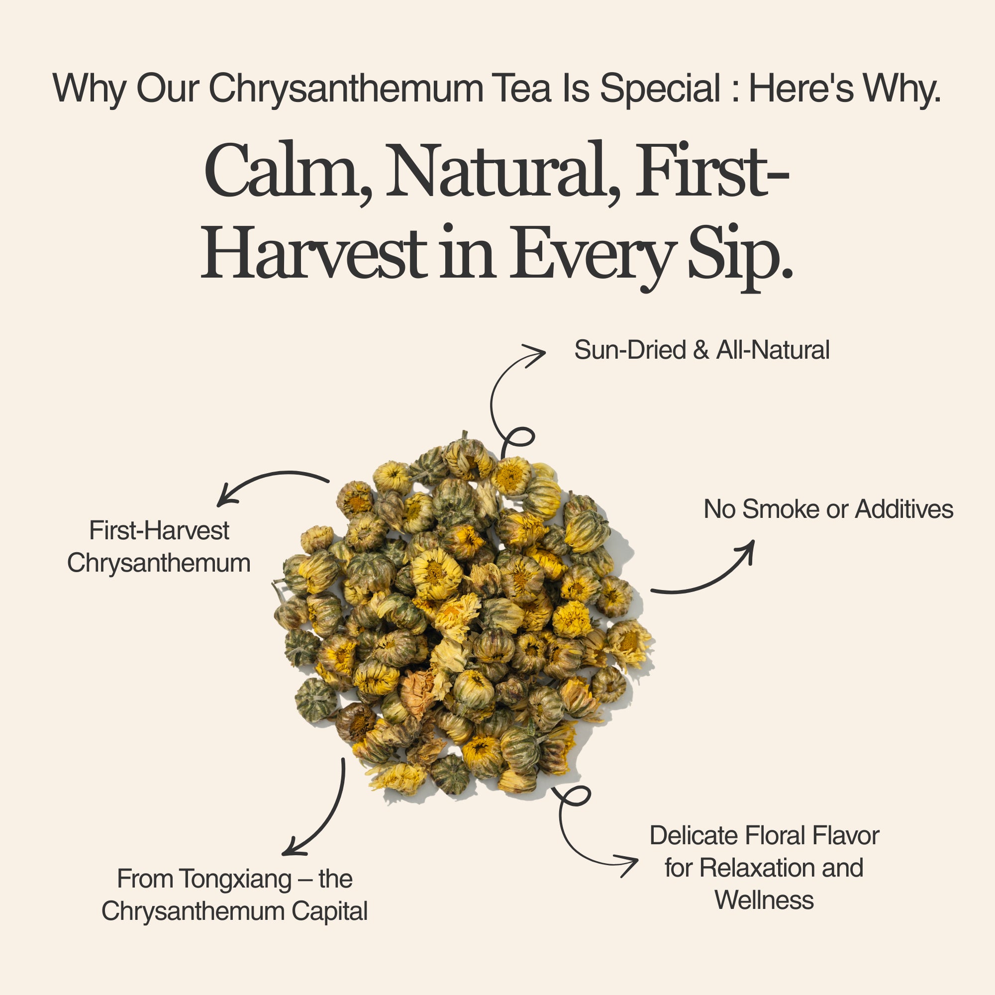 Chrysanthemum Herbal Tea – 80 g (2.8 oz)
