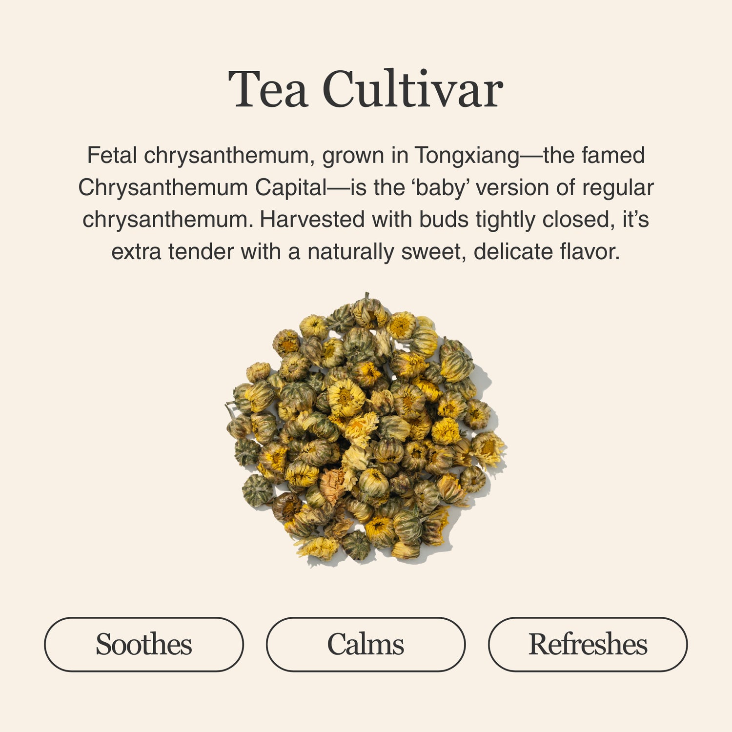 Chrysanthemum Herbal Tea – 80 g (2.8 oz)