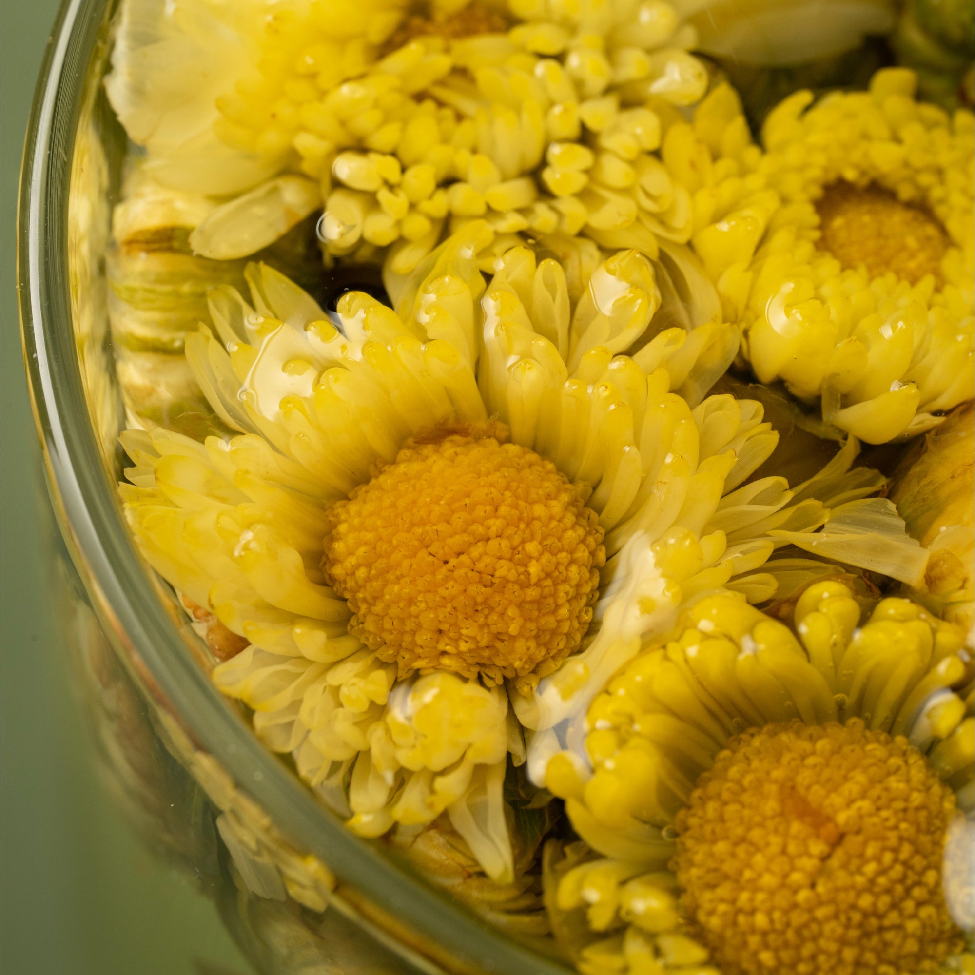 Chrysanthemum Herbal Tea – 80 g (2.8 oz)