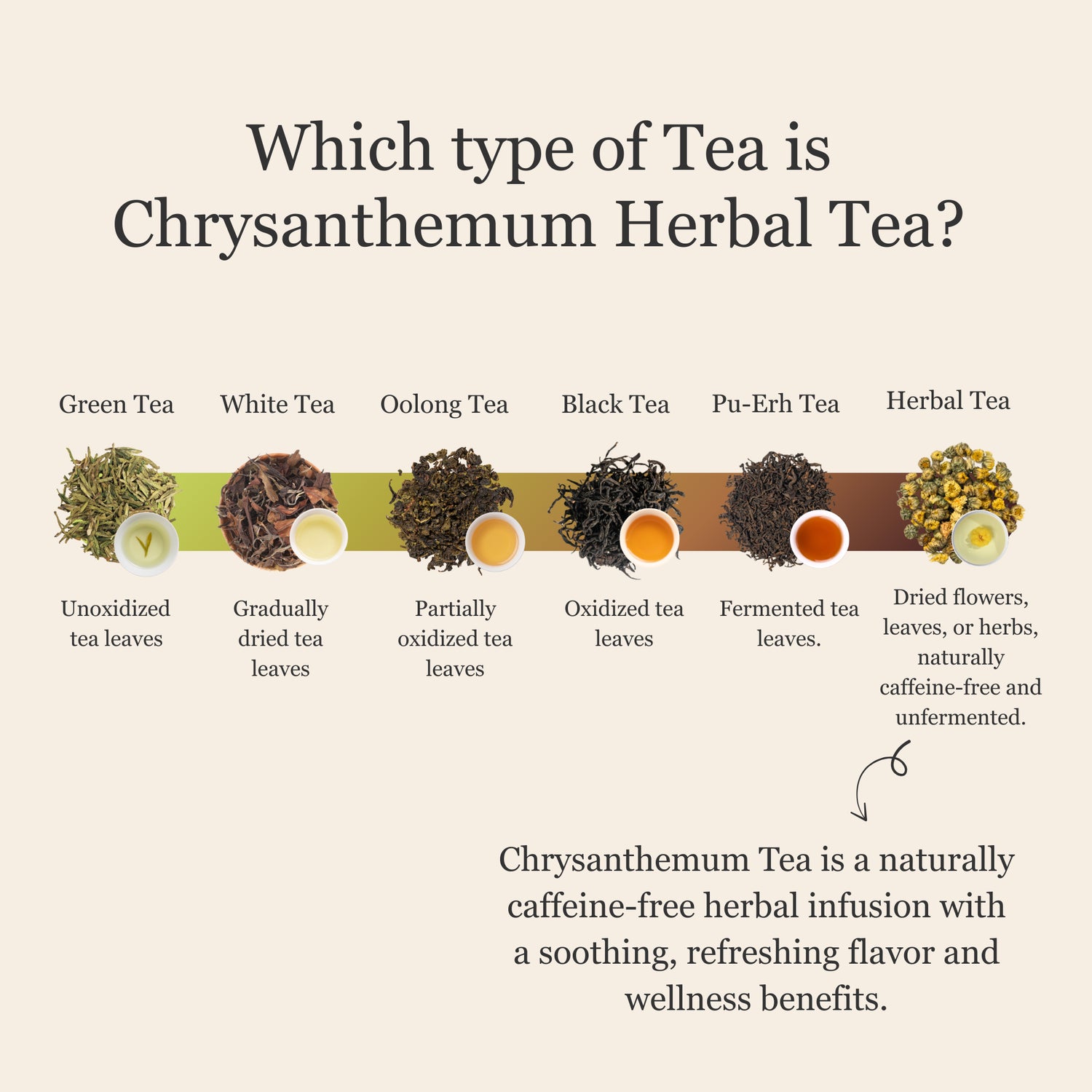 Chrysanthemum Herbal Tea – 80 g (2.8 oz)