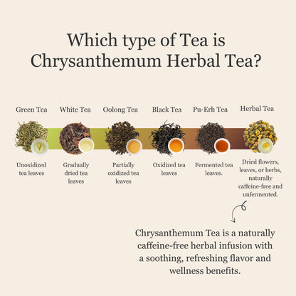 Chrysanthemum Herbal Tea – 80 g (2.8 oz)