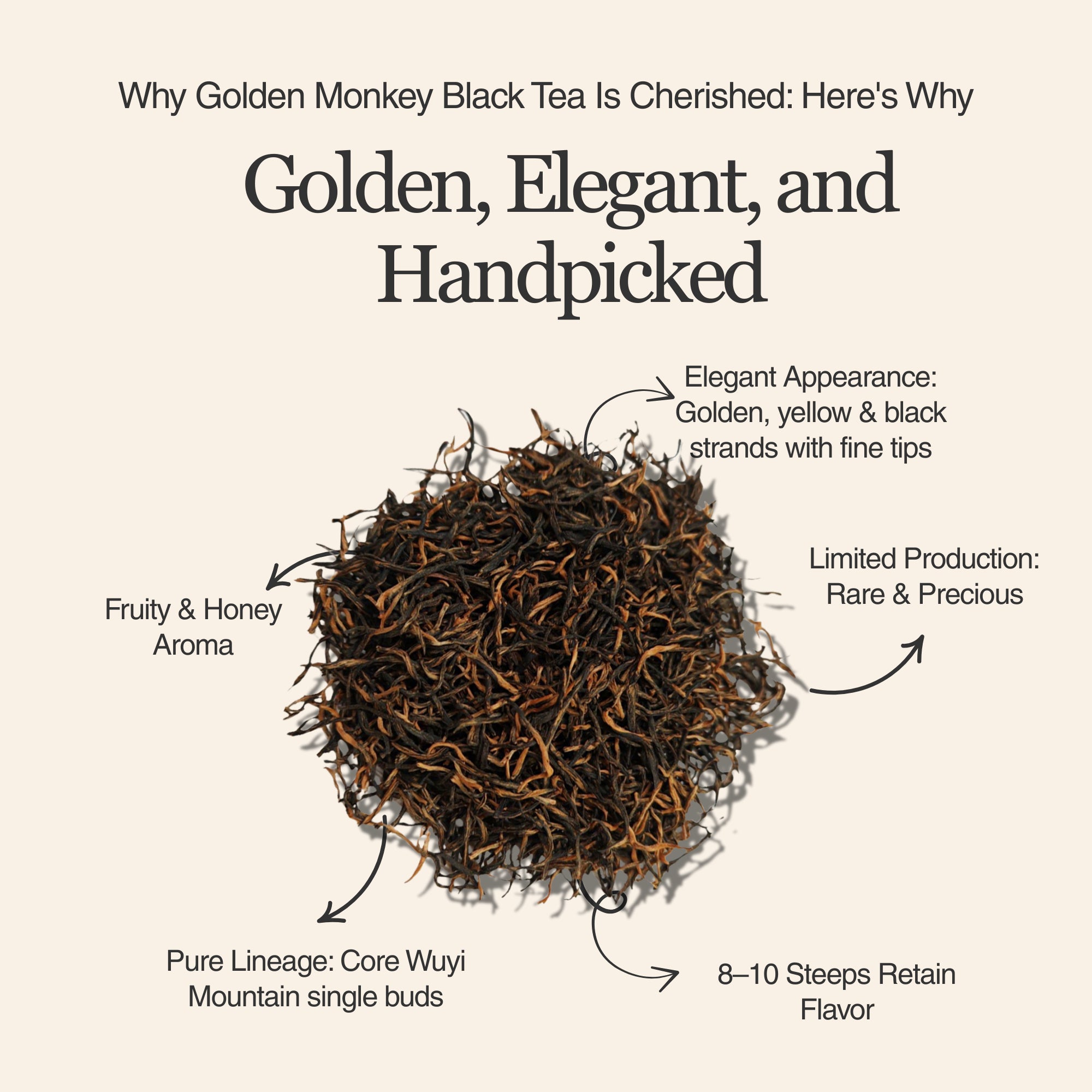 Golden Monkey Black Tea
