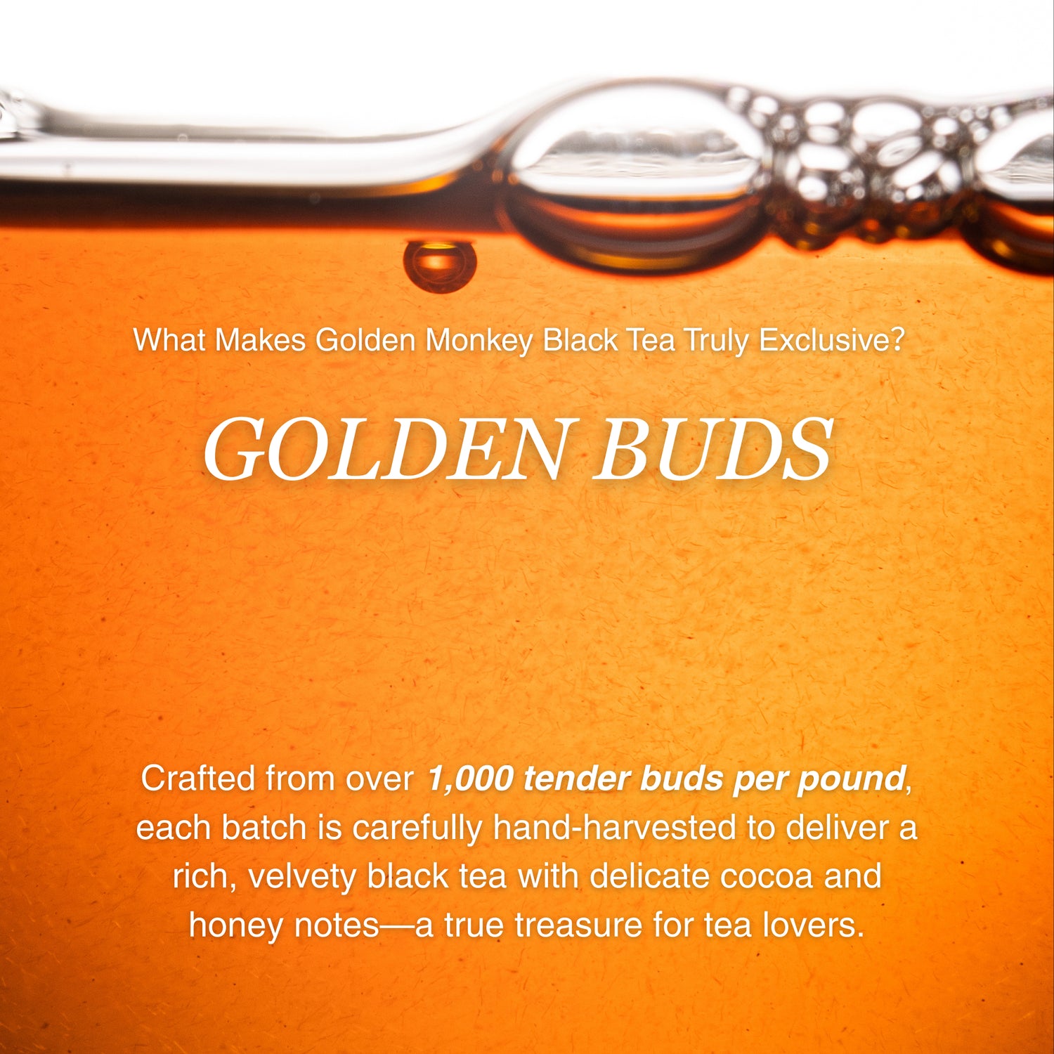 Golden Monkey Black Tea