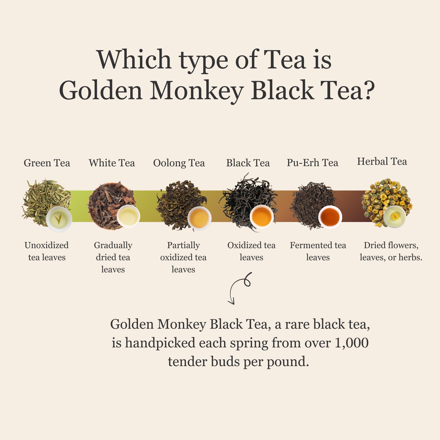 Golden Monkey Black Tea