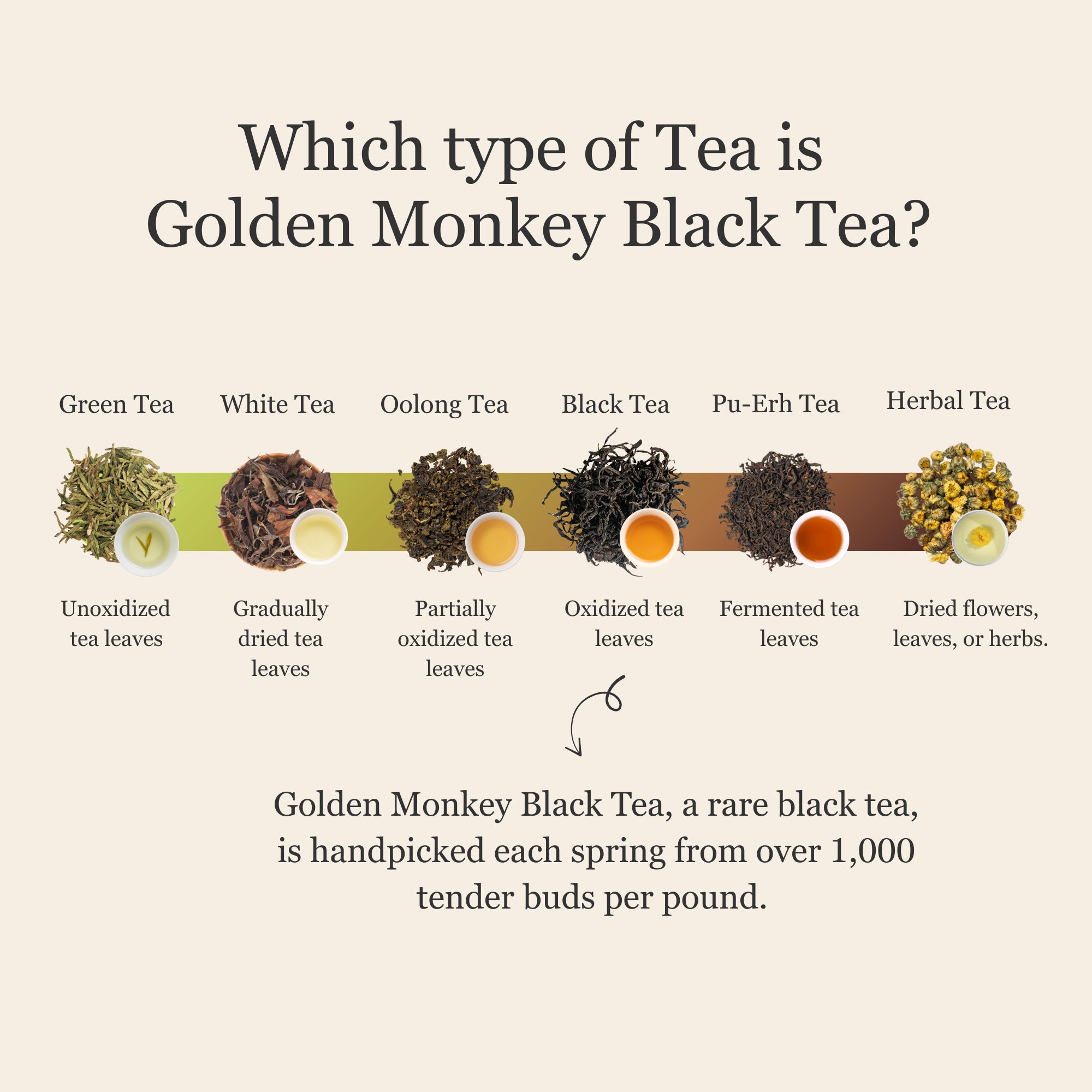 Golden Monkey Black Tea