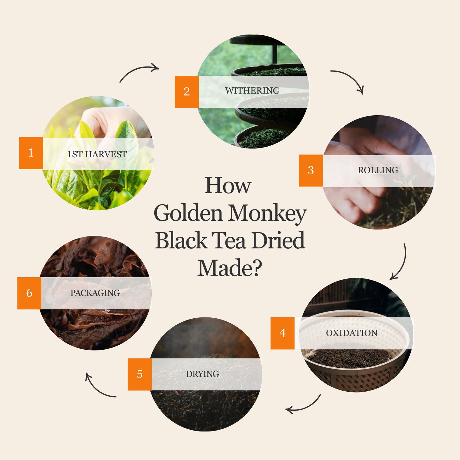 Golden Monkey Black Tea