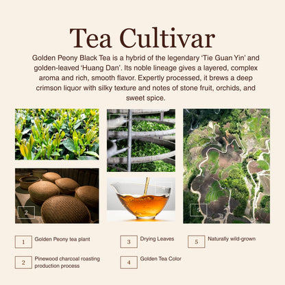 Golden Peony Black Tea – 50 g (1.8 oz)