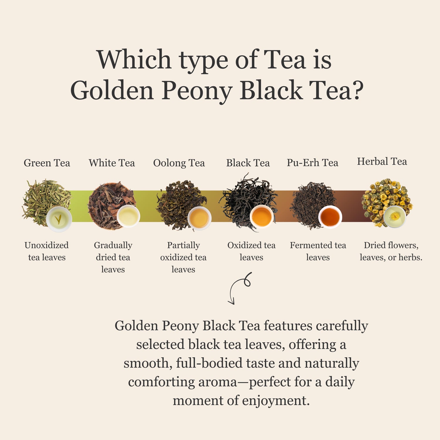 Golden Peony Black Tea – 50 g (1.8 oz)