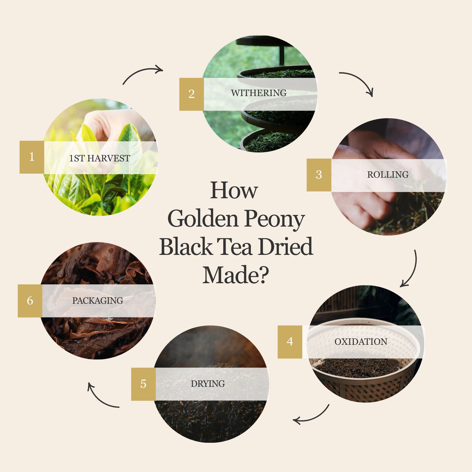 Golden Peony Black Tea – 50 g (1.8 oz)