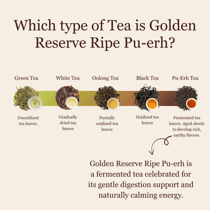 Golden Reserve Ripe Pu-erh