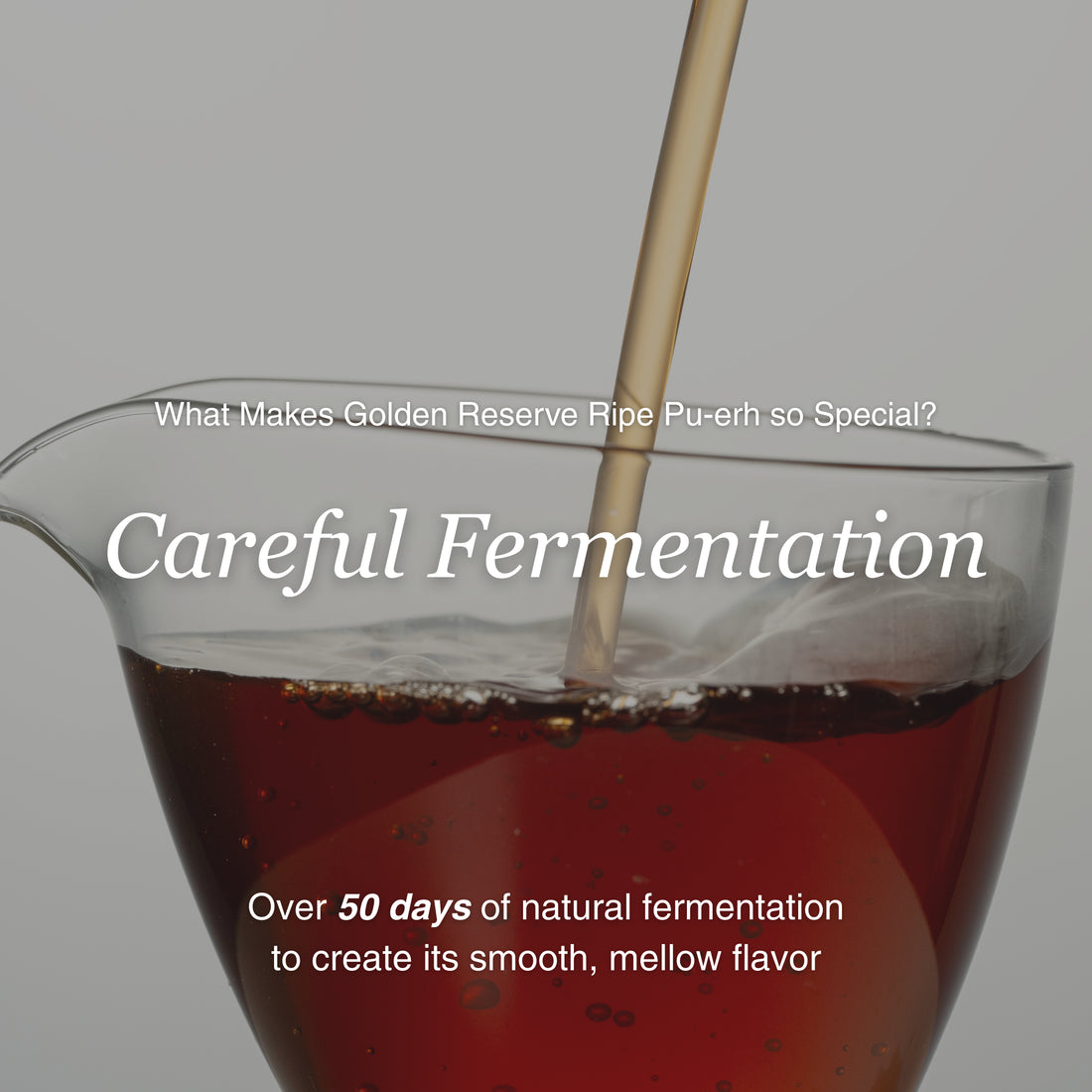 Golden Reserve Ripe Pu–erh