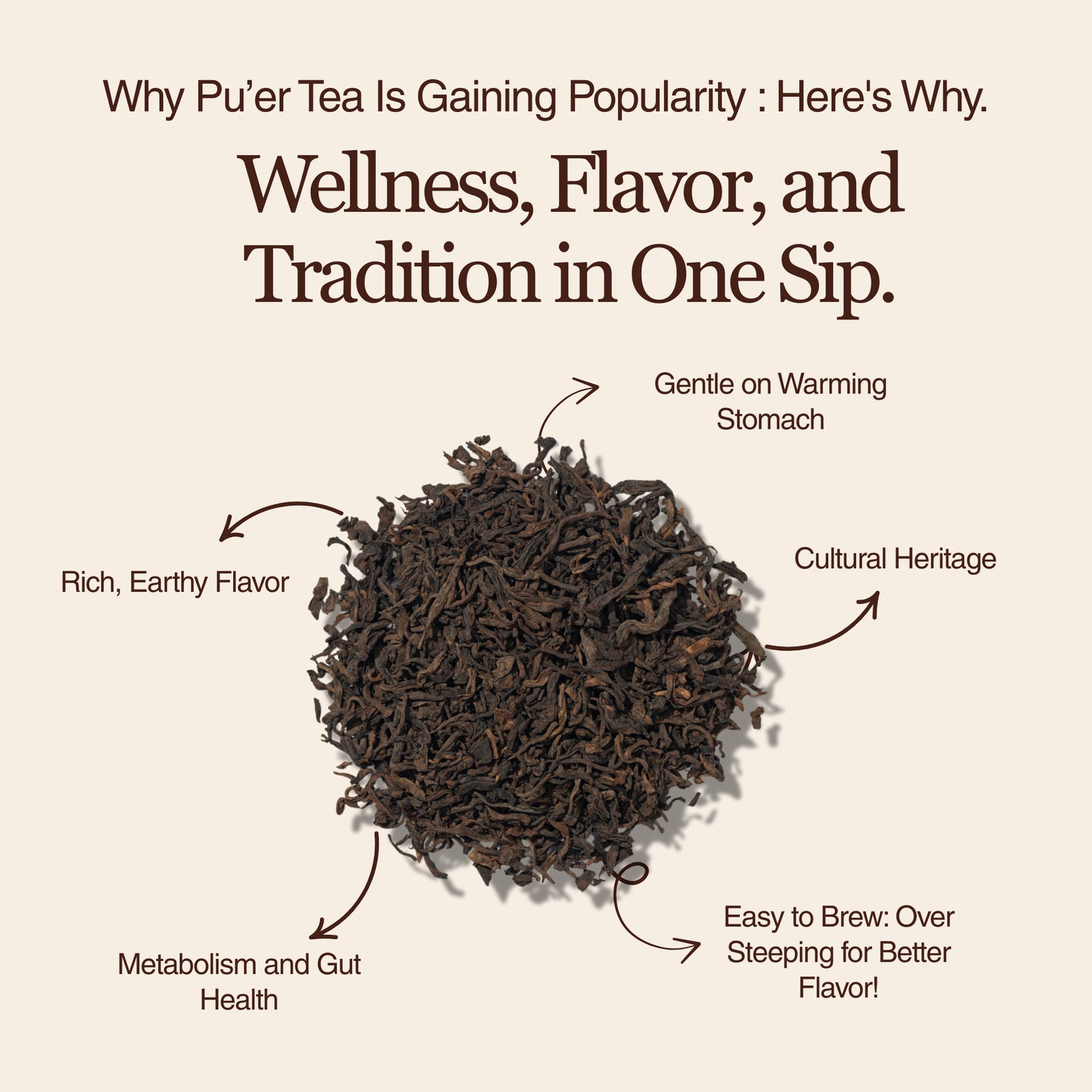 Golden Reserve Ripe Pu-erh
