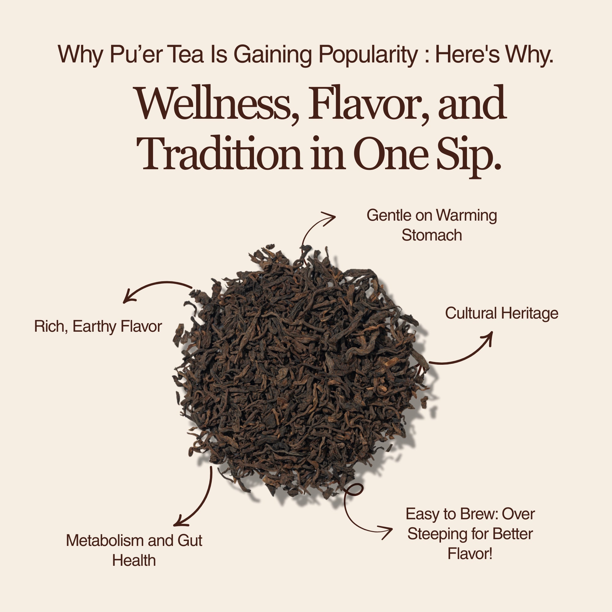 Golden Reserve Ripe Pu-erh