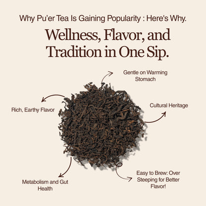 Golden Reserve Ripe Pu-erh
