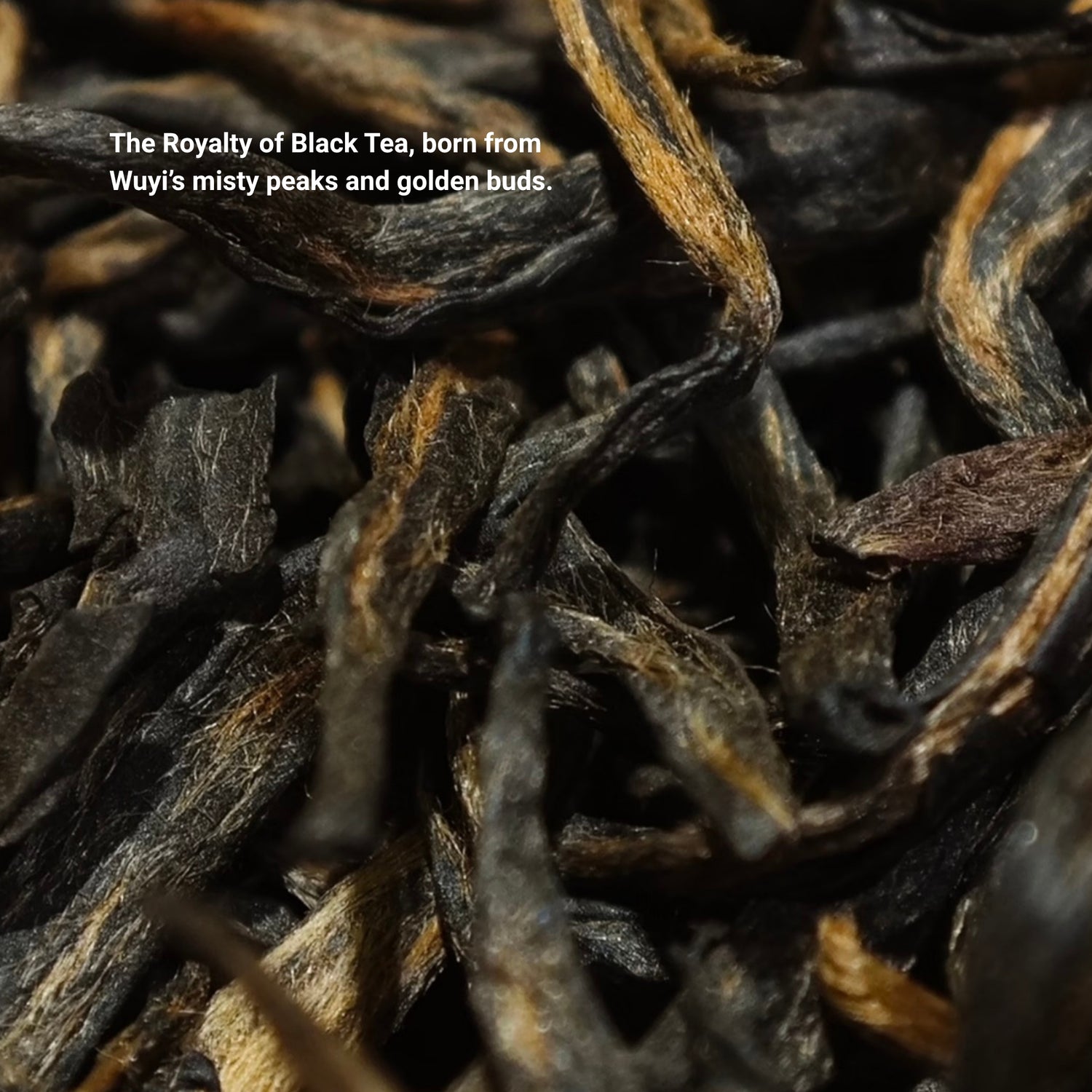 Golden Monkey Black Tea