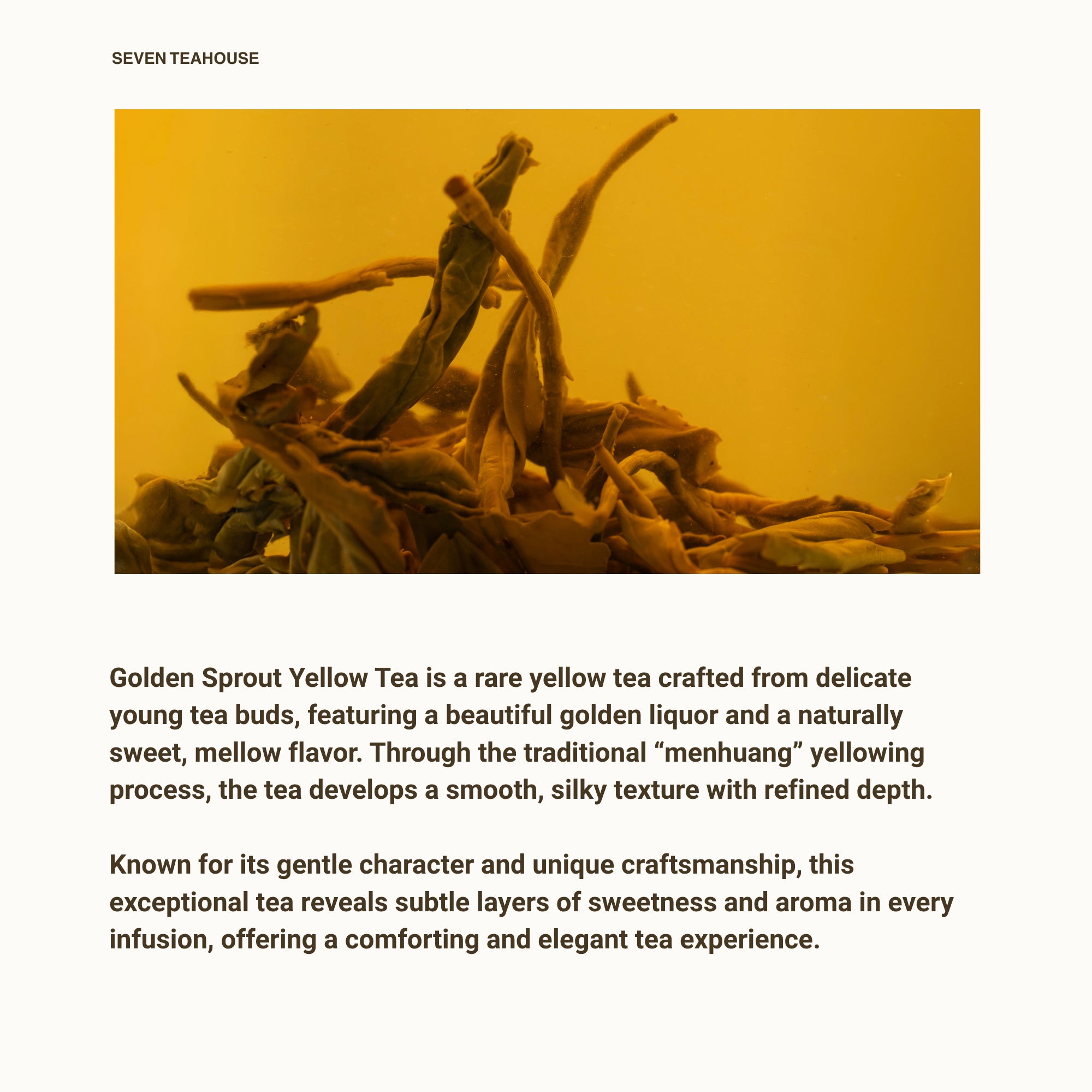 Golden Sprout Yellow Tea
