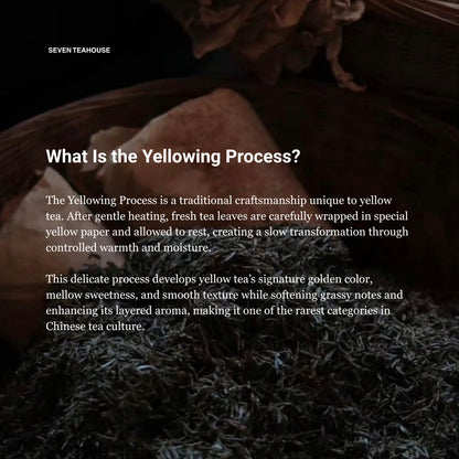 Golden Sprout Yellow Tea