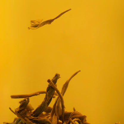 Loose Leaf Tea Variety Pack | 7 Premium Teas