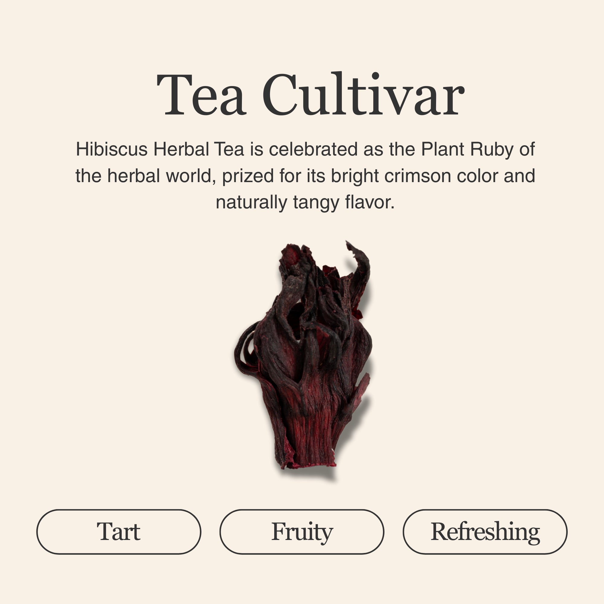 Hibiscus Herbal Tea – 80 g (2.8 oz)