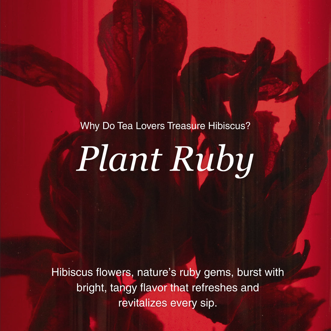 Hibiscus Herbal Tea – 80 g (2.8 oz)