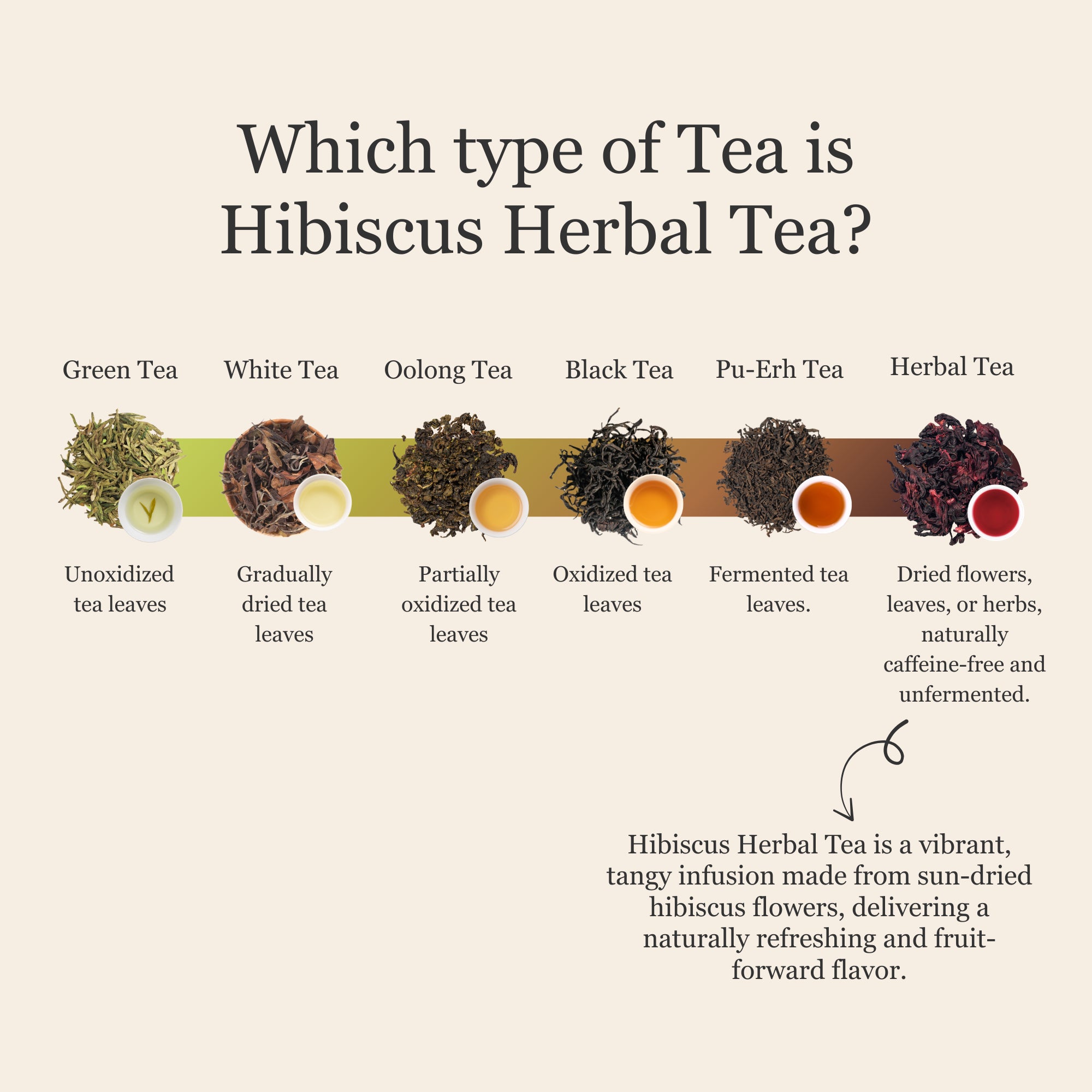 Hibiscus Herbal Tea – 80 g (2.8 oz)