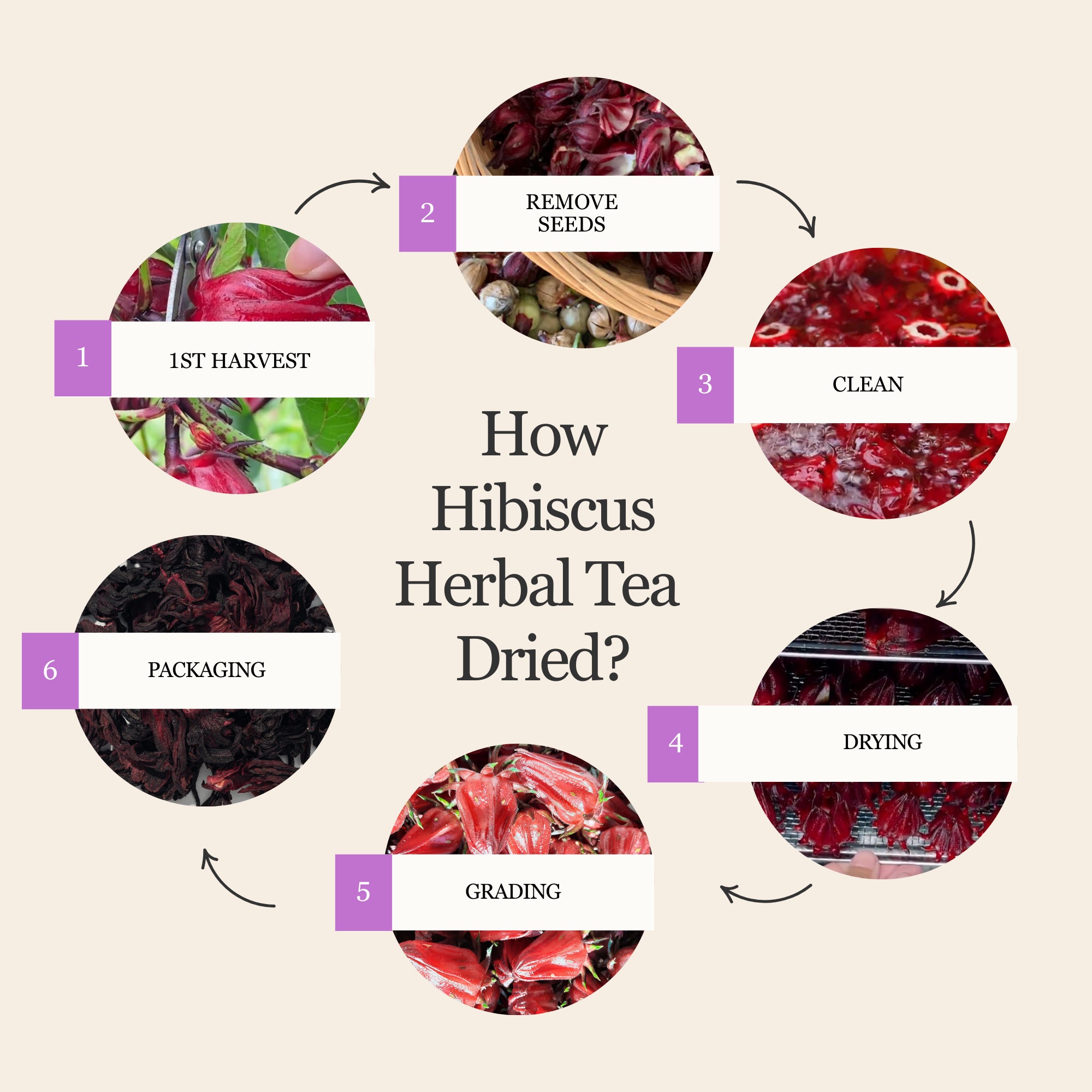 Hibiscus Herbal Tea – 80 g (2.8 oz)