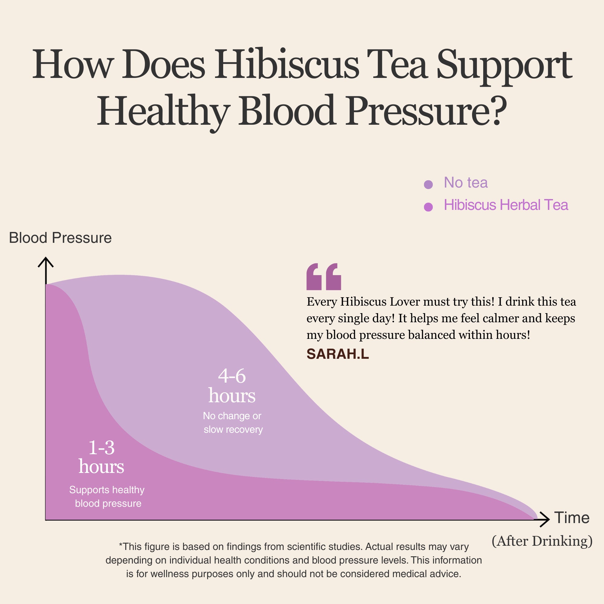 Hibiscus Herbal Tea – 80 g (2.8 oz)