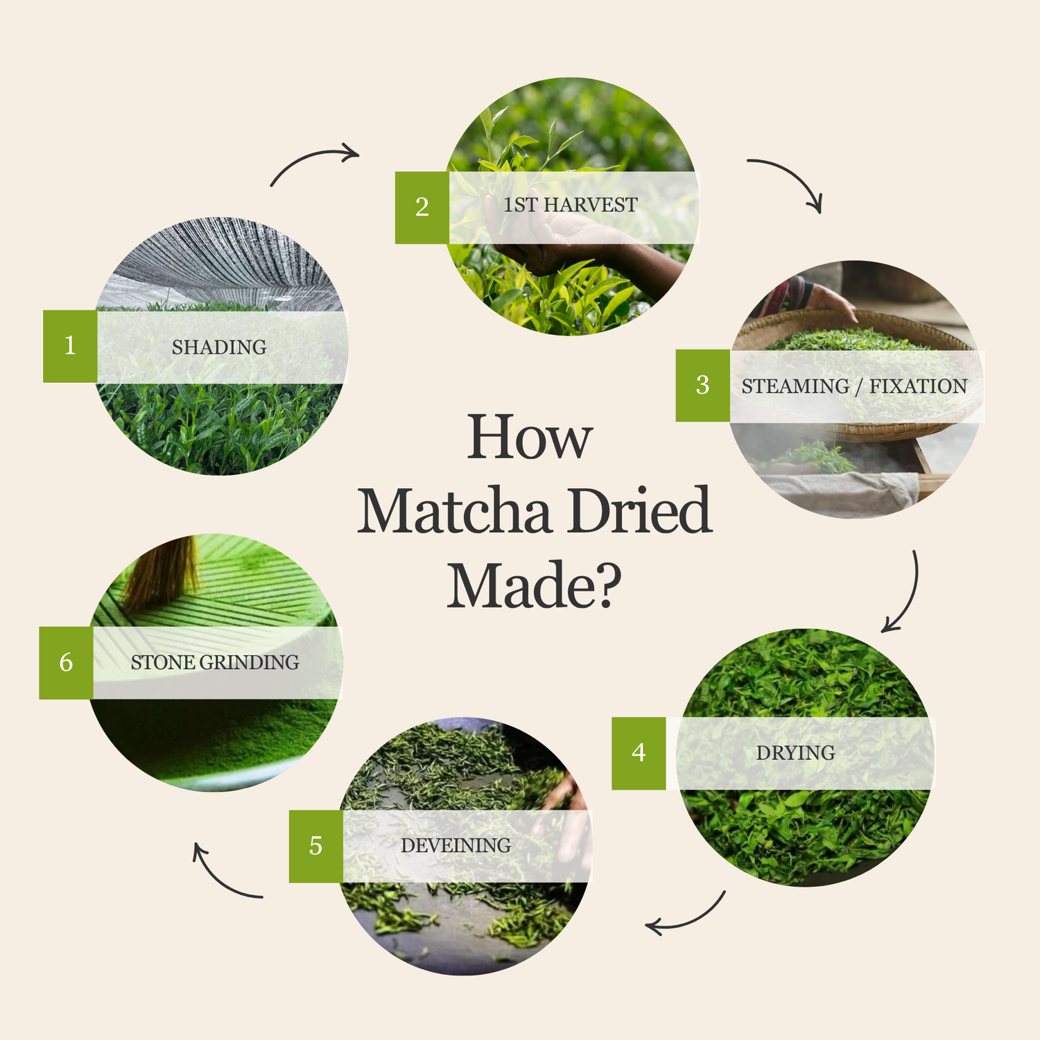 Jade Reserve Ceremonial Matcha