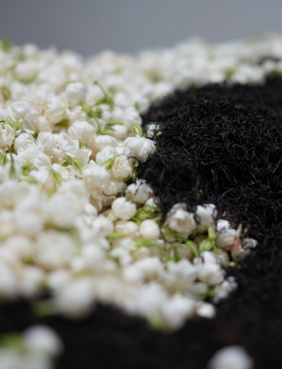 Jasmine Black Tea