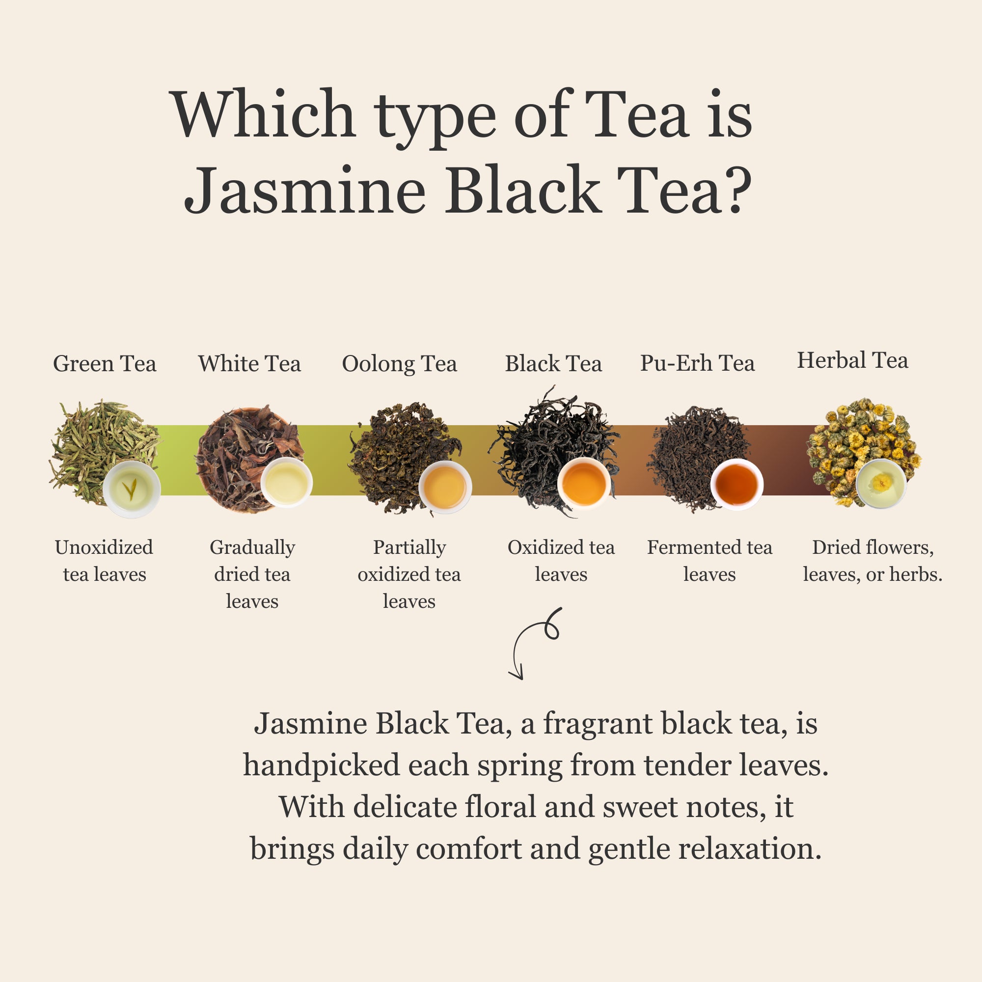 Jasmine Black Tea